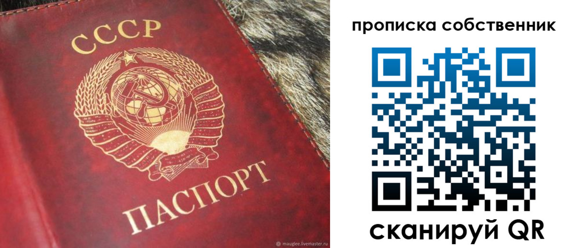 прописка в квартире в Жигулёвске